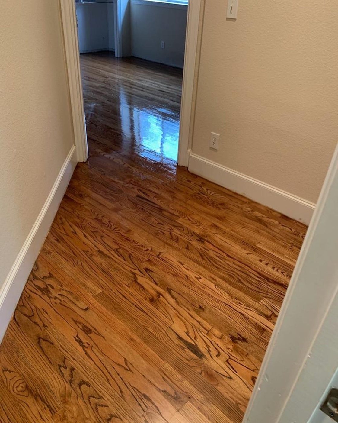 Glossy hardwood floor refreshed with a screen and recoat (finished glossy hardwood flooring in hallway)